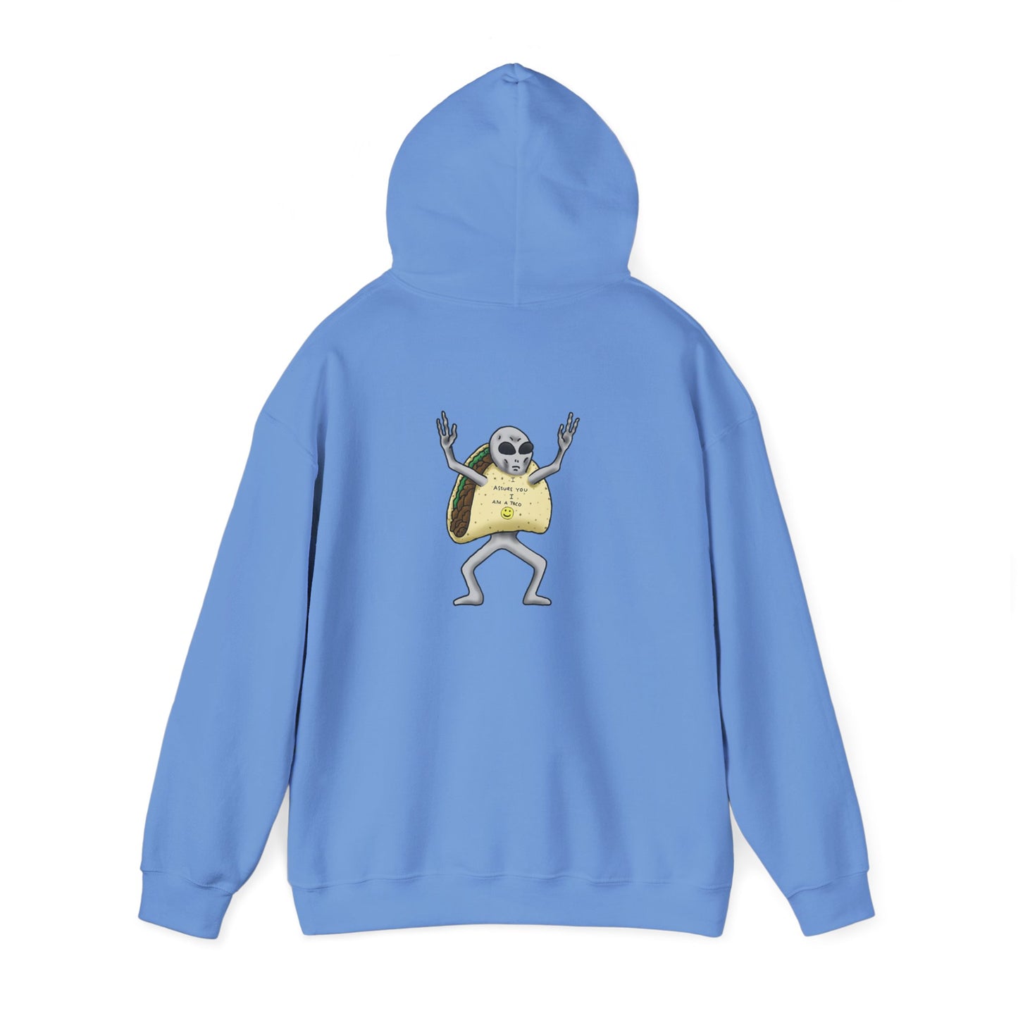 The Grey Hooded Sweatshirt