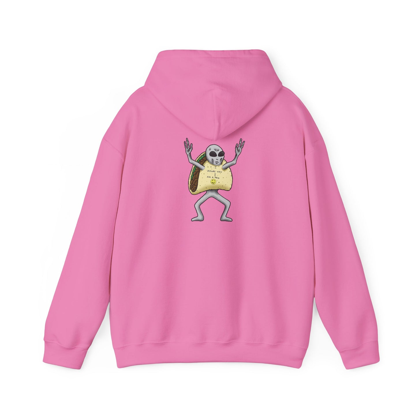 The Grey Hooded Sweatshirt
