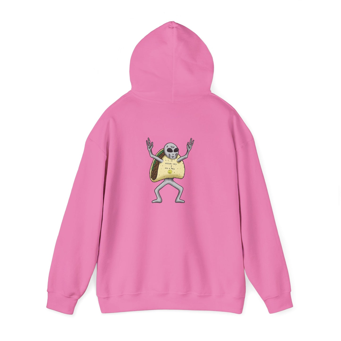 The Grey Hooded Sweatshirt
