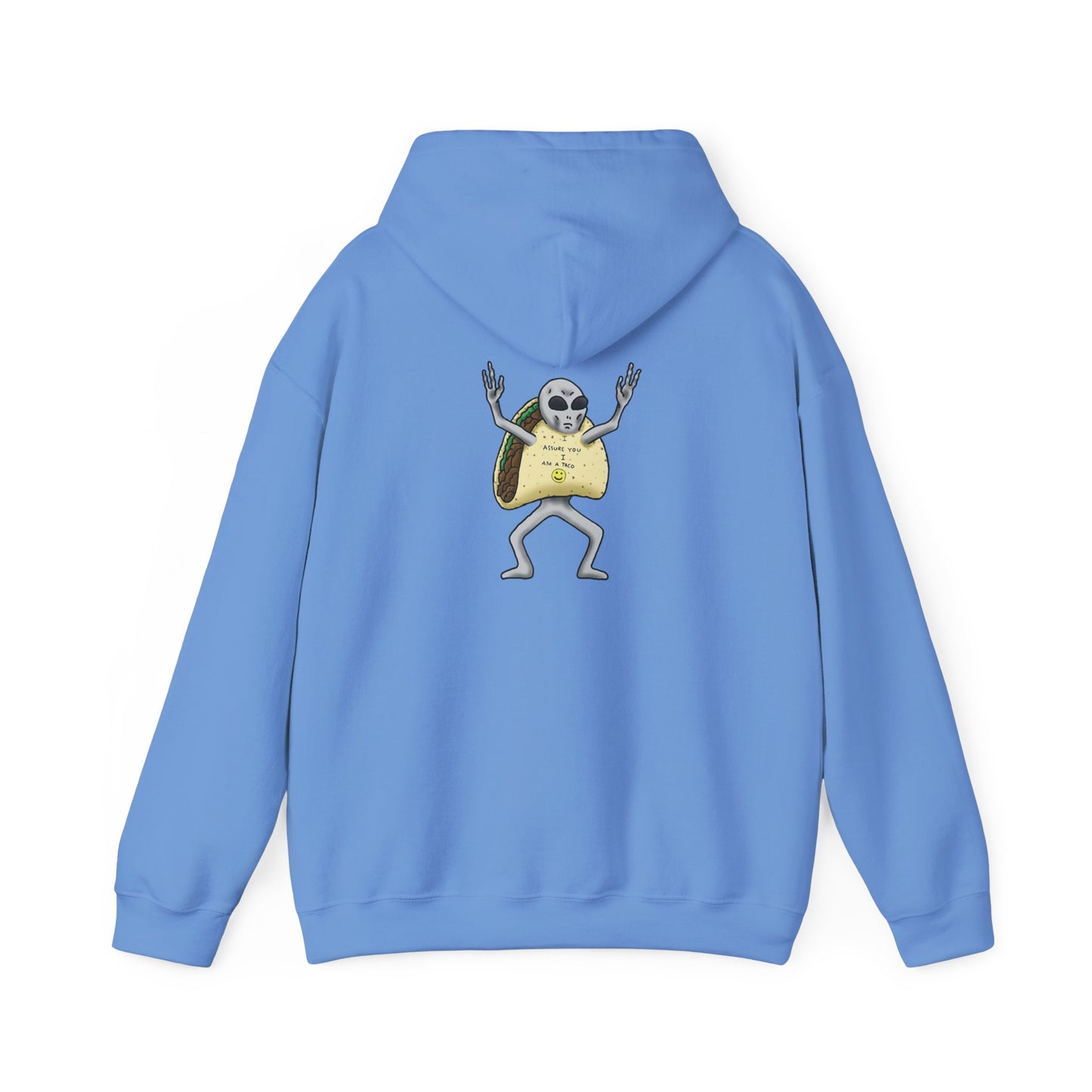 The Grey Hooded Sweatshirt